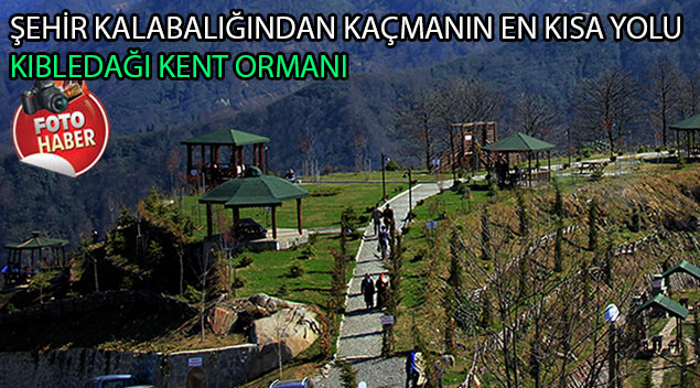 Kıbledağı Kent Ormanı Dağ Camii