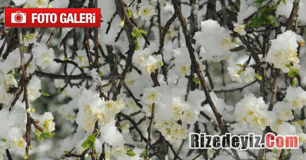 Rize`den Kış Manzaraları