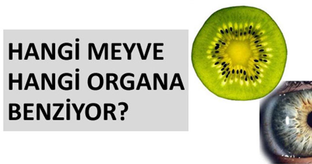 Hangi meyve hangi organa benziyor ve neye iyi geliyor?