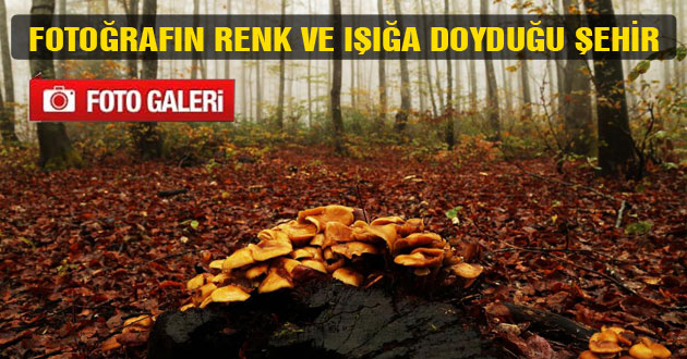 FOTOĞRAFIN RENK VE IŞIĞA DOYDUĞU ŞEHİR..