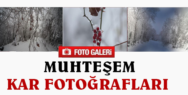 Muhteşem Kar Fotoğrafları