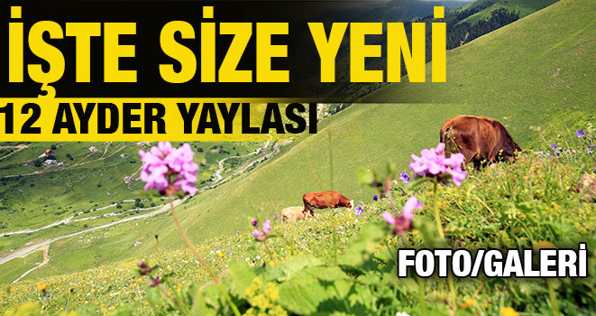 İşte Size Yeni 12 Ayder Yaylası /foto galeri