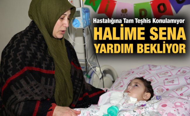 Halime Sena Hastalığın Pençesinde Yaşamını Sürdürüyor