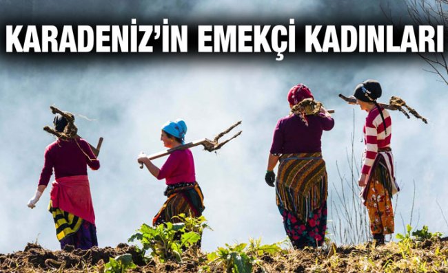 Bahar Geldi, Karadenizli Kadınlar İşe Koyuldu