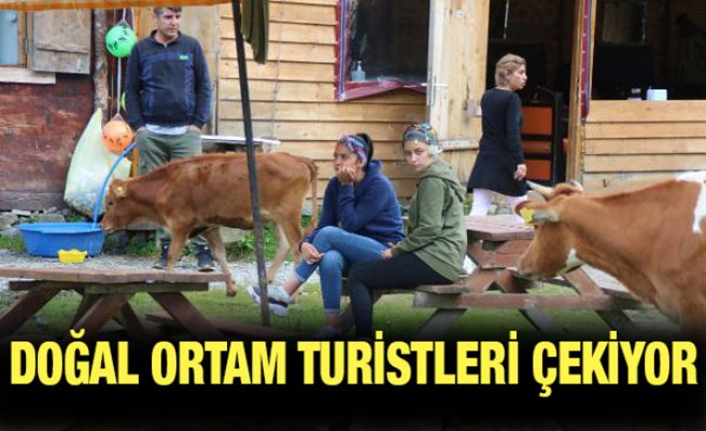 Galer Düzü'ndeki Doğal Ortam Turistlerin İlgisi Çekiyor