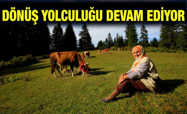 Yaylacıların Yerleşim Yerlerine Göç Yolculuğu Sürüyor