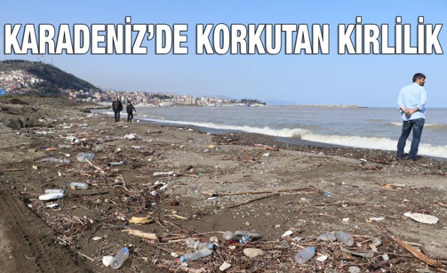 Deniz Canlıları Plastik Tehdidi Altında