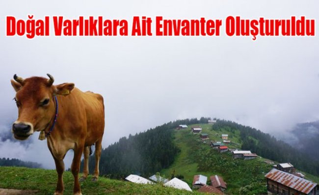 Karadeniz'in Doğal Güzellikleri Kayıt Altına Alındı