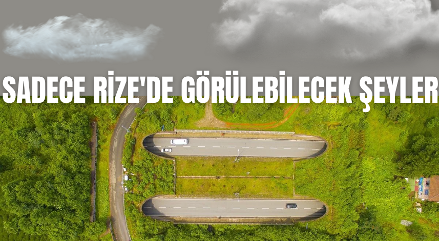 Sadece Rize'de Görülebilecek Şeyler