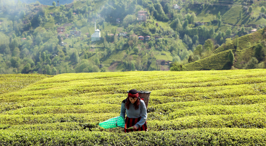 Rize doğal güzelliğiyle ziyaretçilerine görsel şölen sunuyor