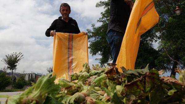 Karadeniz 'fındık' yolu