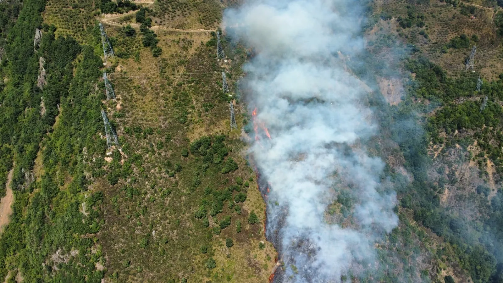 Gümüşhane'deki yangın kontrol altına alındı