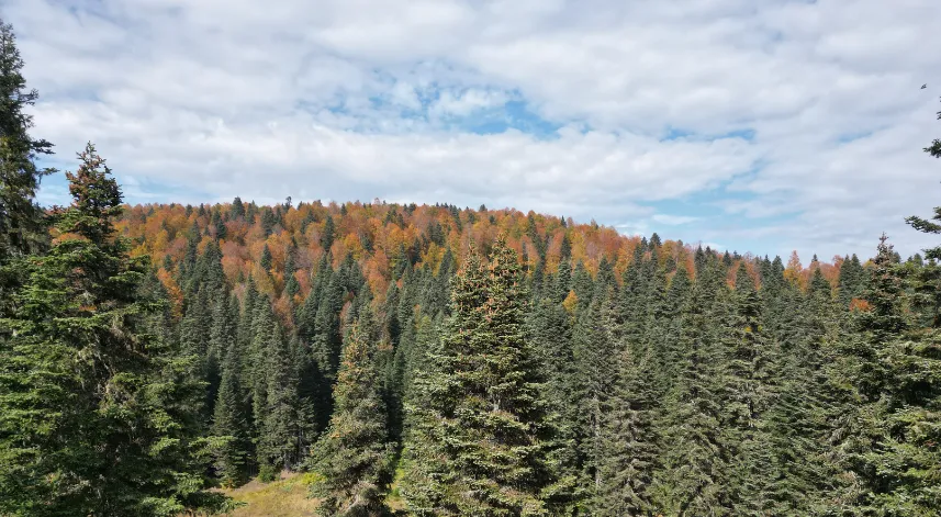 Bartın ve Karabük yaylalarında sonbahar güzelliği