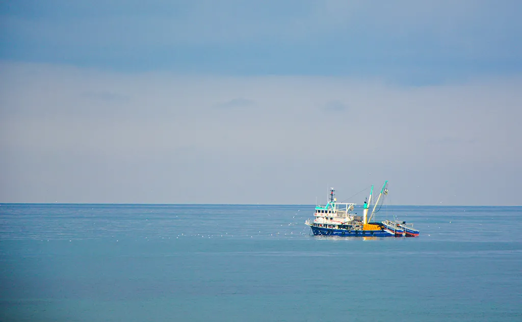 KARADENİZ'İN SONSUZ MAVİ TONU