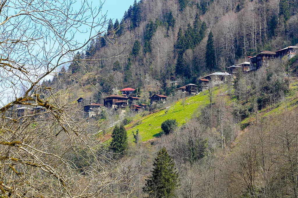 RİZE'NİN YAYLALARINDA RENK DOKUSU