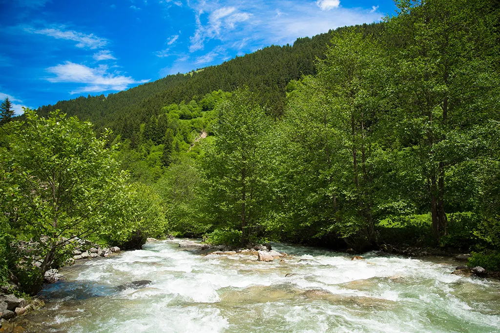 SUYUN BERRAK RENK AKIŞI