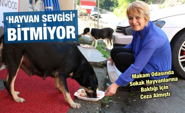 Sokak Hayvanları İçin Seferber Olmaya Devam Ediyor