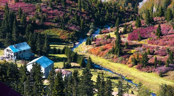 Karadeniz’in Büyüleyici Sonbahar Güzelliği