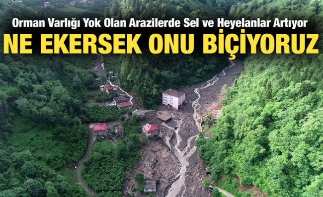 Ormanların Yok Olması Sel ve Heyelanları Artıyor