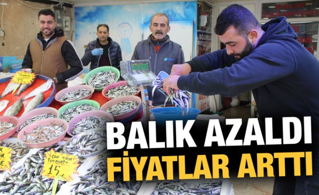 Balık Azlığı, Fiyatlara Yansıyor