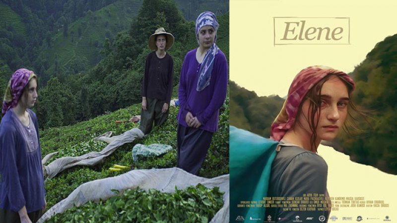 ELENE / Kısa Film (2016) - 16 yaşındaki Elene, Karadeniz'deki çay tarlalarında kaçak çalışan Gürcü bir işçidir. Yabancı bir coğrafyadaki bu tedirgin ortamda, o da diğer işçiler gibi dikkat çekmemeye, görünmez olmaya çalışır. Ancak bu, düşündüğü kadar kolay değildir. (Filmin çekimleri Rize'nin Kalkandere ve Ardeşen ilçesinde yapıldı. Film aynı zamanda Rize'nin ilk film festivali olan Çay, Doğa ve Gençlik Filmleri Festivali'nde gösterime sunuldu)