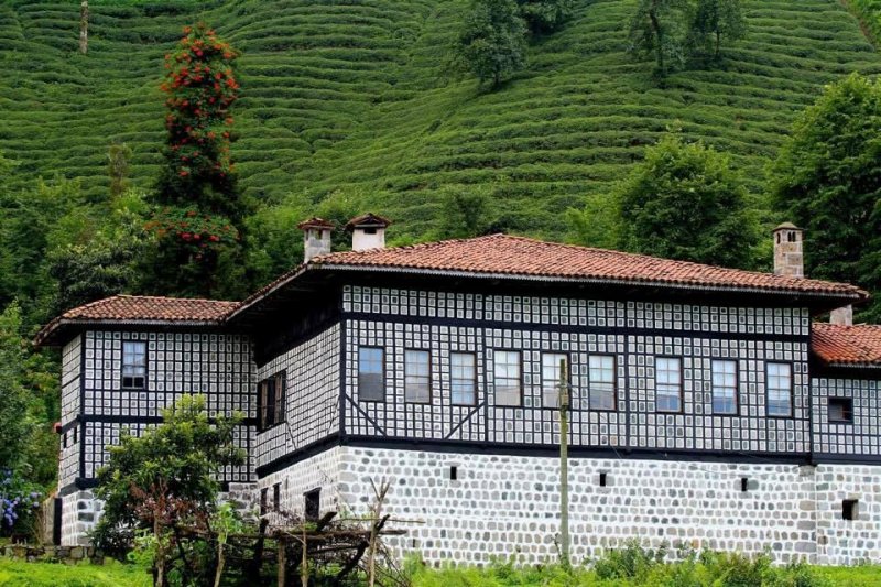 Fındıklı’nın en önemli iki akarsuyu Çağlayan ve Arılı Dereleridir. İlçede Rize ilinin en güzel sivil mimari örneklerinden olan konaklar yer almaktadır. Ayrıca tarihi eser olarak cami, kemer köprü ve mezarlıklar bulunmaktadır.