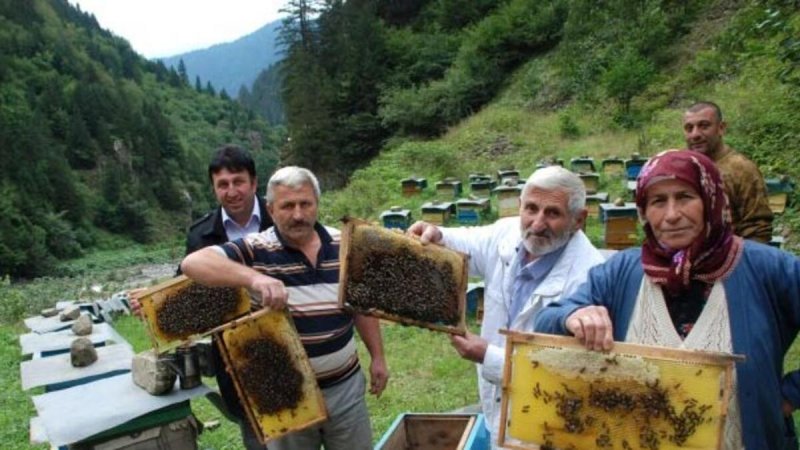 İkizdere'nin bilinen yaylaları arasında ünlü Anzer Balının yapıldığı Anzer Yaylası, Çağrankaya ve Ovit Yaylaları bulunmaktadır. İkizdere'de özel bir tesis bünyesinde hizmet veren bir de kaplıca bulunmaktadır. İlçe, yayla turizmi, doğa yürüyüşü, kuş gözlemciliği, termal turizm gibi pek çok turizm faaliyeti için uygun olanaklara sahiptir.