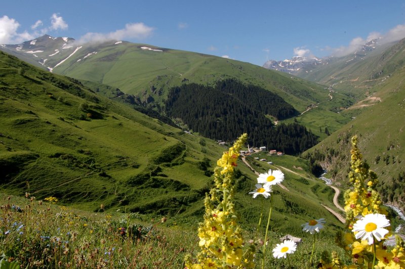 Çamlık ve Cimil derelerinin birleştiği yerde kurulan İkizdere, adını bu derelerden almıştır. İlçe toprakları dağlıktır. Dağlar dar vadilerle parçalanmış olup yüksek kesimlerinde yaylalar bulunur. Bu yaylalar; Çağrankaya Yaylaları,Ovit Yaylası,Demirkapı Yaylası ile Şimşirli ve Ilıcaköy madensuyu kaynakları doğal güzelliklerinin başında gelmektedir.