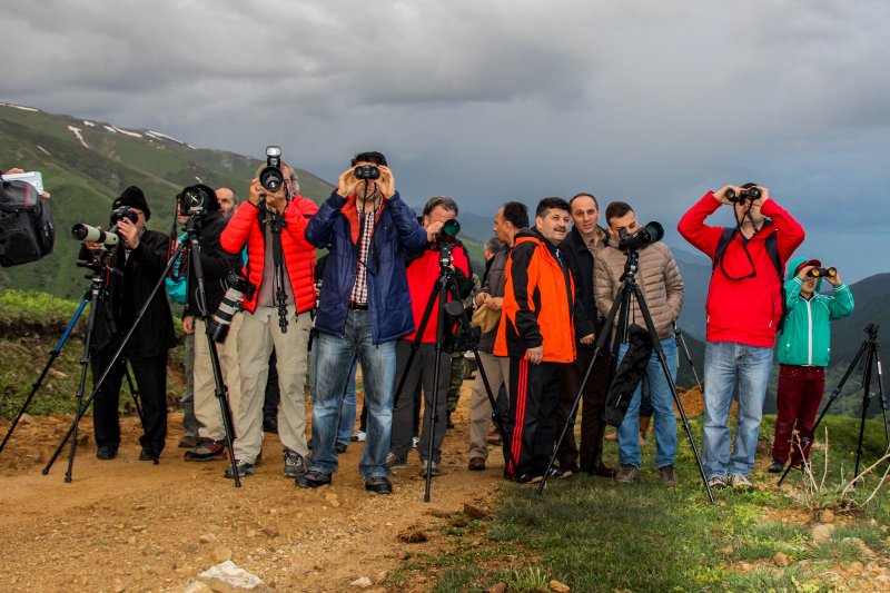 Huş tavuğu/dağ horozu Karadeniz bölgesinin endemik kuş türleri arasında yer alır. Türkiye’de sadece Rize'nin İkizdere ilçesi Sivrikaya köyü çevresinde görülür. Rize'de yılın bazı aylarında huş tavuğu/dağ horuzu kuş gözlemciliği yapılmaktadır.