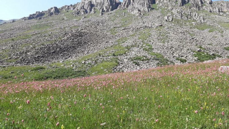 Yayla, 2811 metre yükseklikteki yer almaktadır.