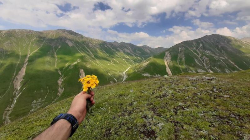 Çayeli ilçe merkezine yaklaşık 47 kilometre mesafede yer alıyor.