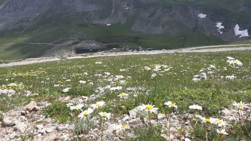 Eğnaçor Yaylası'nın hemen üzerinde bir buzul gölü olan Ongici Gölü bulunuyor.