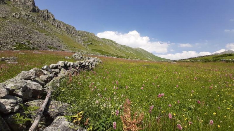 Yayla, otantik özellikleri ve mevcut gölü ile turistlerin dikkatini çekmektedir.