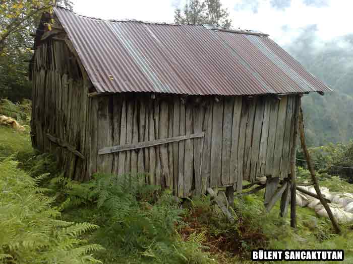 Eski Rize Evleri