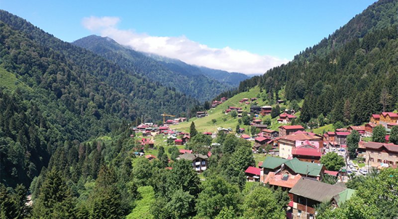 Dünyaca ünlü, Rize’nin en bilinen yaylası olan Ayder Yaylası, 1350 m rakımda, etrafı ladin ve kayın ormanlarıyla kaplı bir yayladır. Ayder Yaylası’nda Aşağı ve Yukarı Ambarlık Şelaleleri, Gelin Tülü Şelalesi, yayla evleri, kaplıcalar ve ormanlar bulunmaktadır.