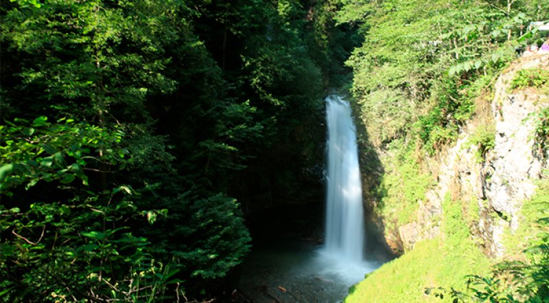 Rize’de debisi en yüksek şelalelerden biri olan Palovit Şelalesi, 15 metre yükseklikten akar ve Kaçkar Dağları Millî Parkı sınırları içerisinde yer alır.