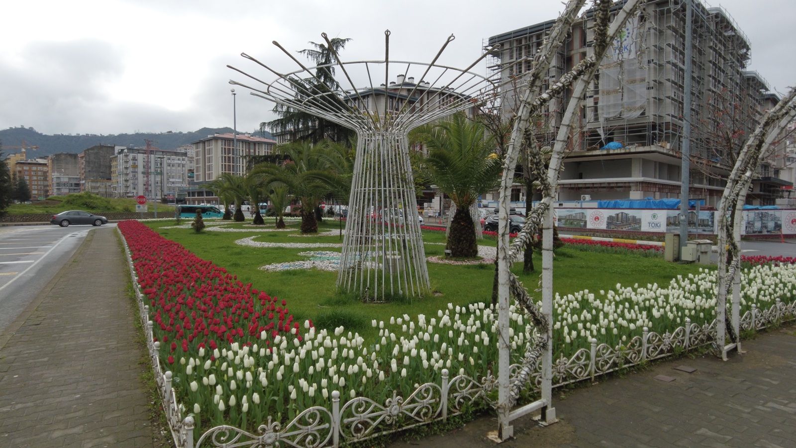 Laleler Rize'nin güzelliğine güzellik kattı