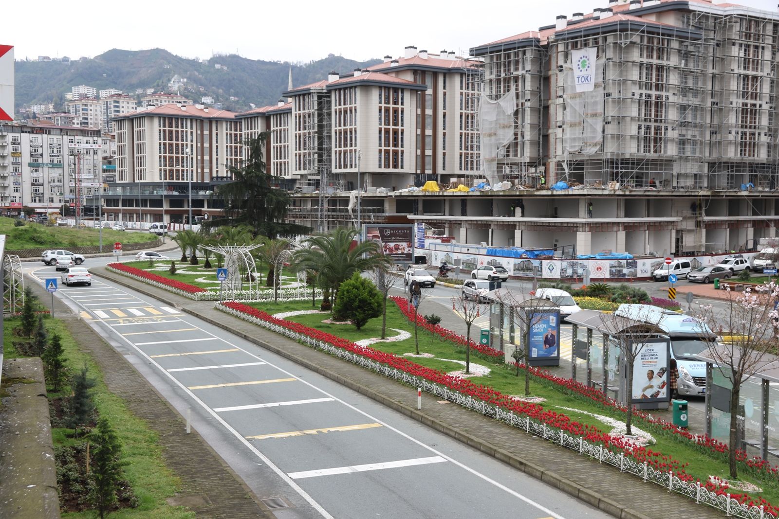 Laleler Rize'nin güzelliğine güzellik kattı