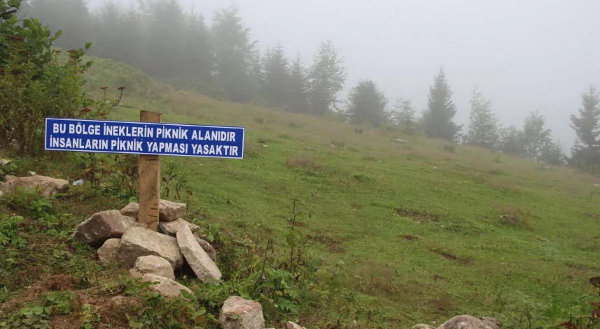 Hayvanlara özel haklar tanınır...