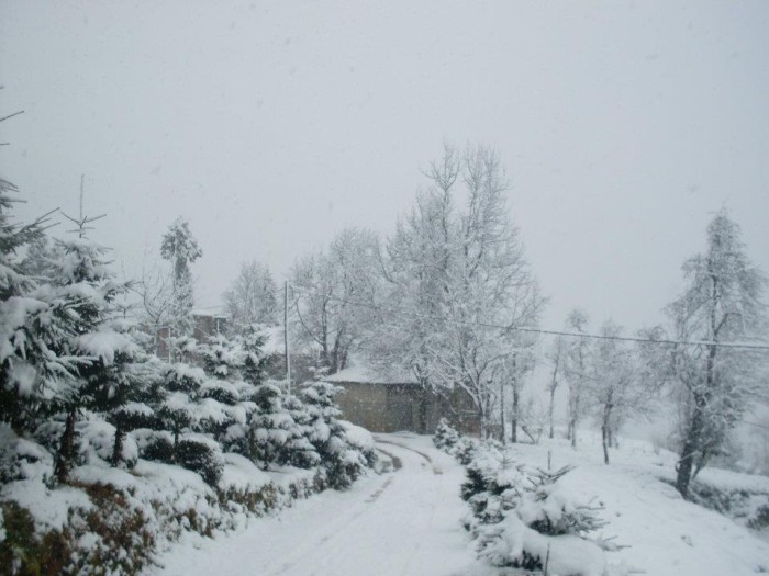 Güneysu Kar Fotoğrafları 2012 / Volkan Yılmaz