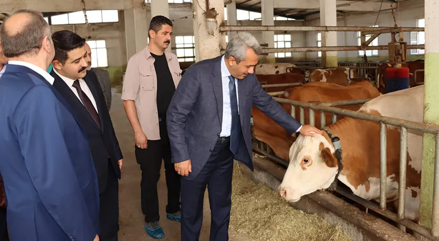 Vali Baydaş, Fındıklı'da inceleme ve ziyaretlerde bulundu