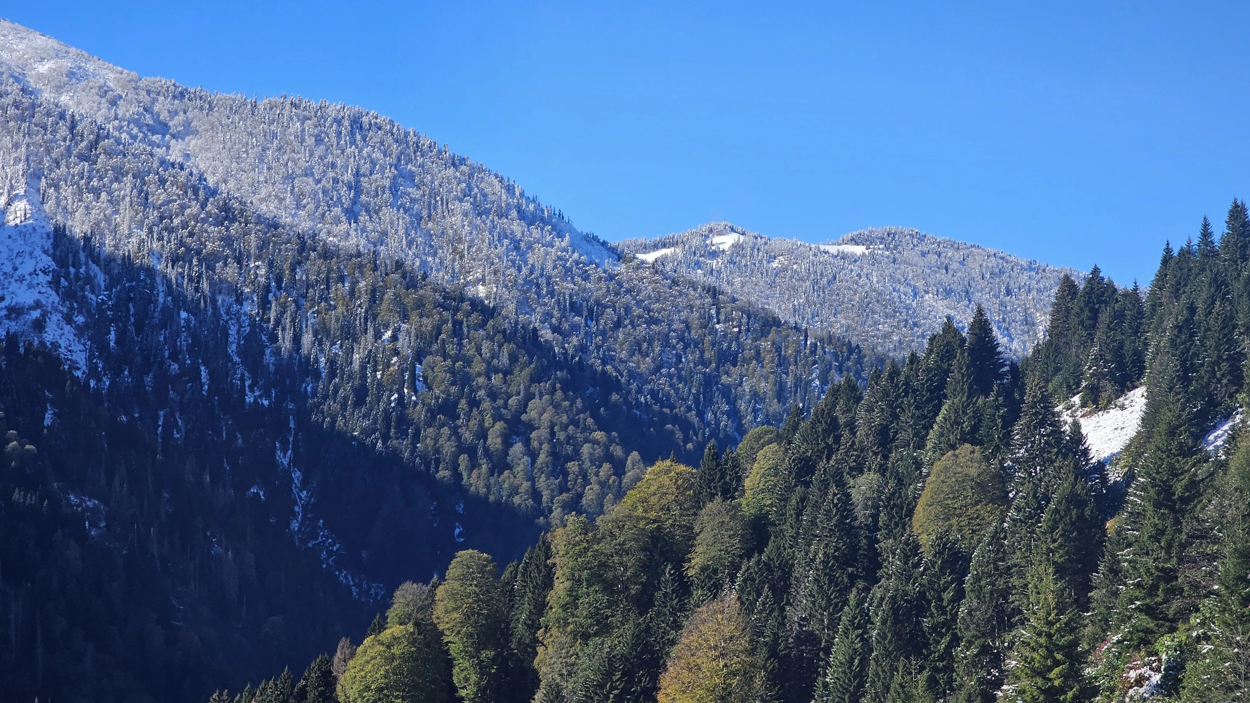 Rize'nin yüksek kesimlerine kar yağdı