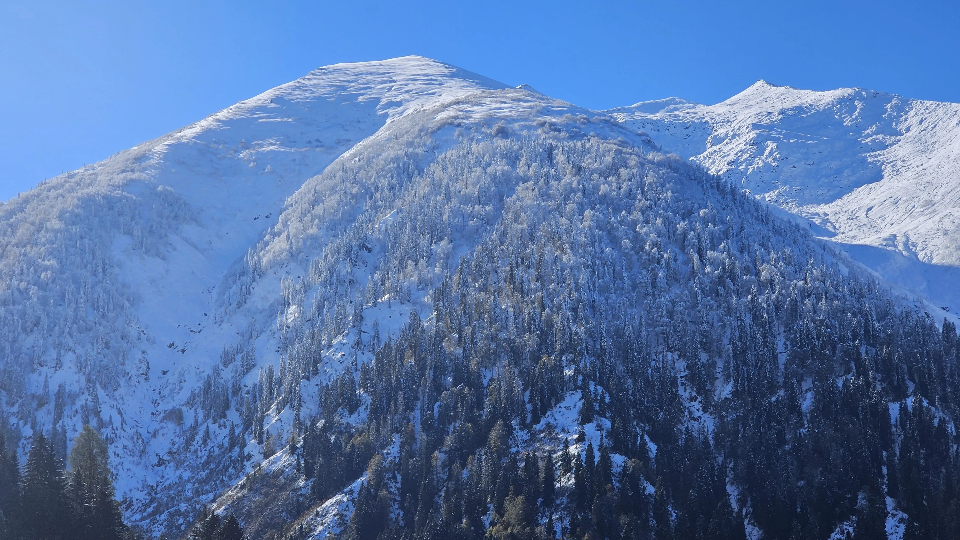 Rize'nin yüksek kesimlerine kar yağdı