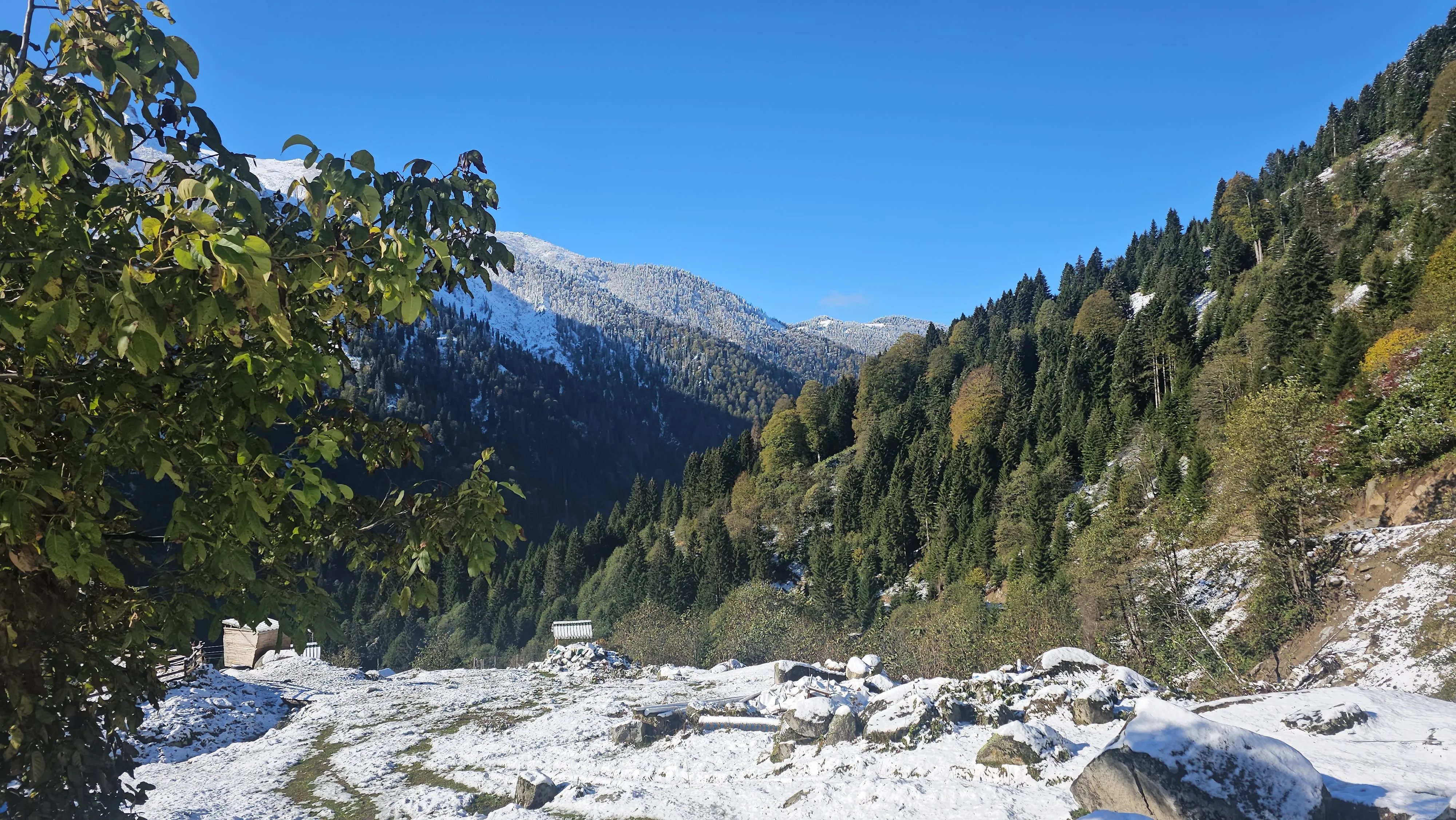 Rize'nin yüksek kesimlerine kar yağdı