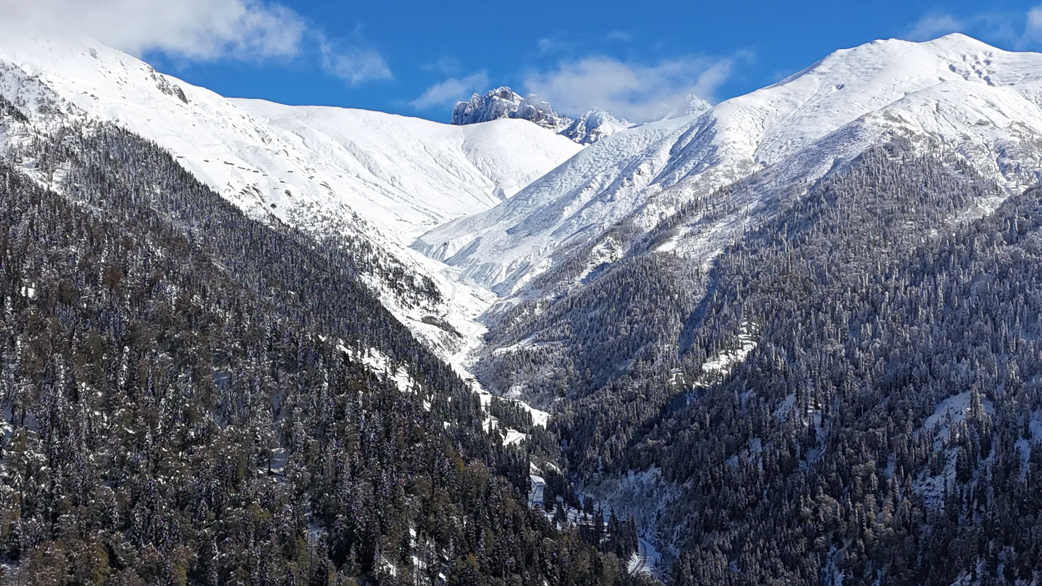 Rize'nin yüksek kesimlerine kar yağdı