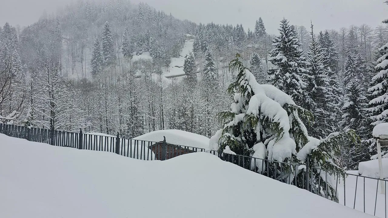 Rize'de 2 gündür aralıklarla devam eden yağmur, yüksek kesimlerde yerini kara bıraktı