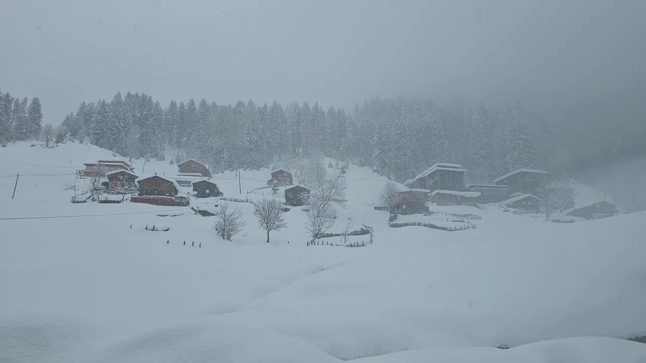 Rize'de 2 gündür aralıklarla devam eden yağmur, yüksek kesimlerde yerini kara bıraktı