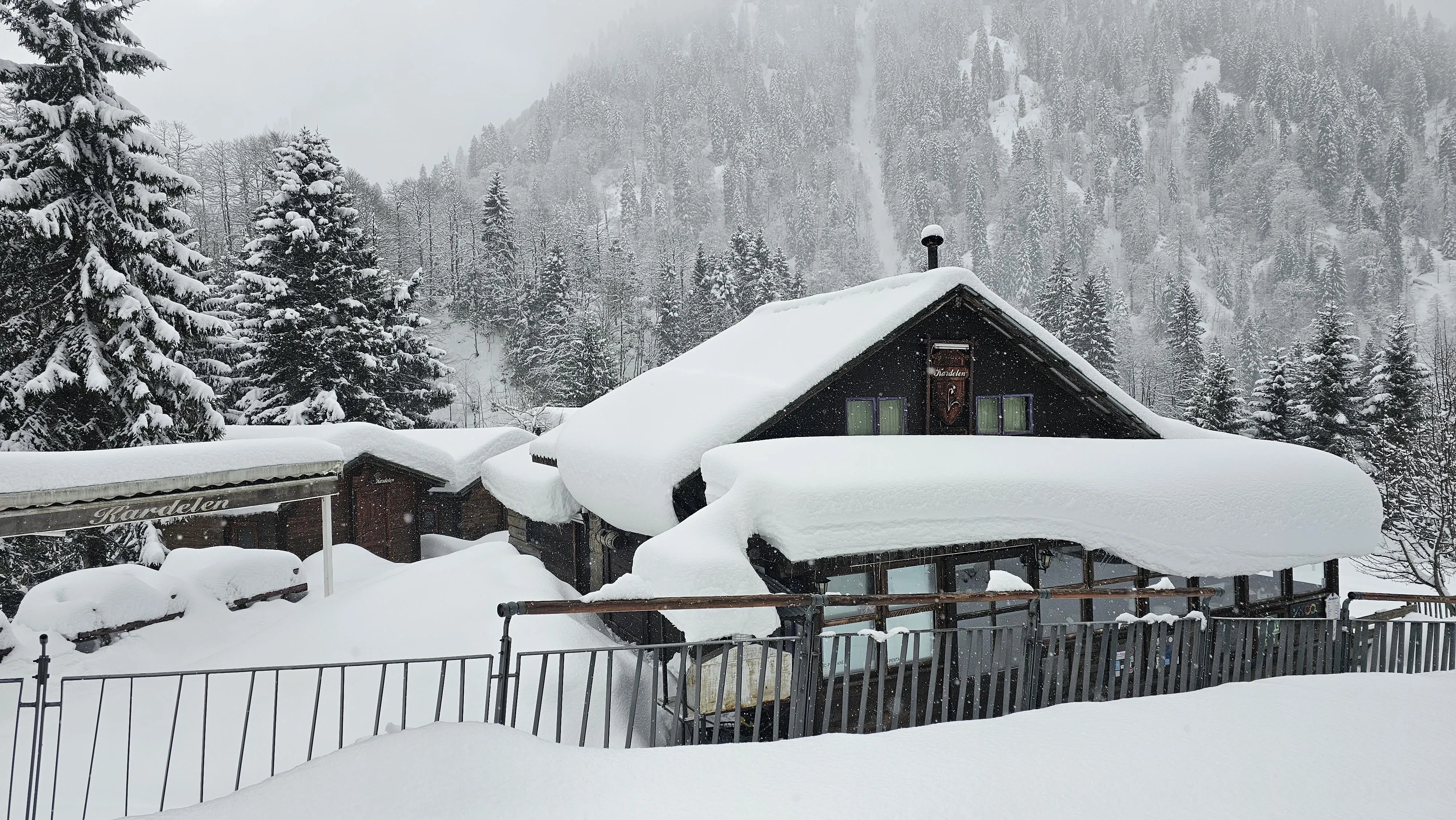 Rize'de 2 gündür aralıklarla devam eden yağmur, yüksek kesimlerde yerini kara bıraktı