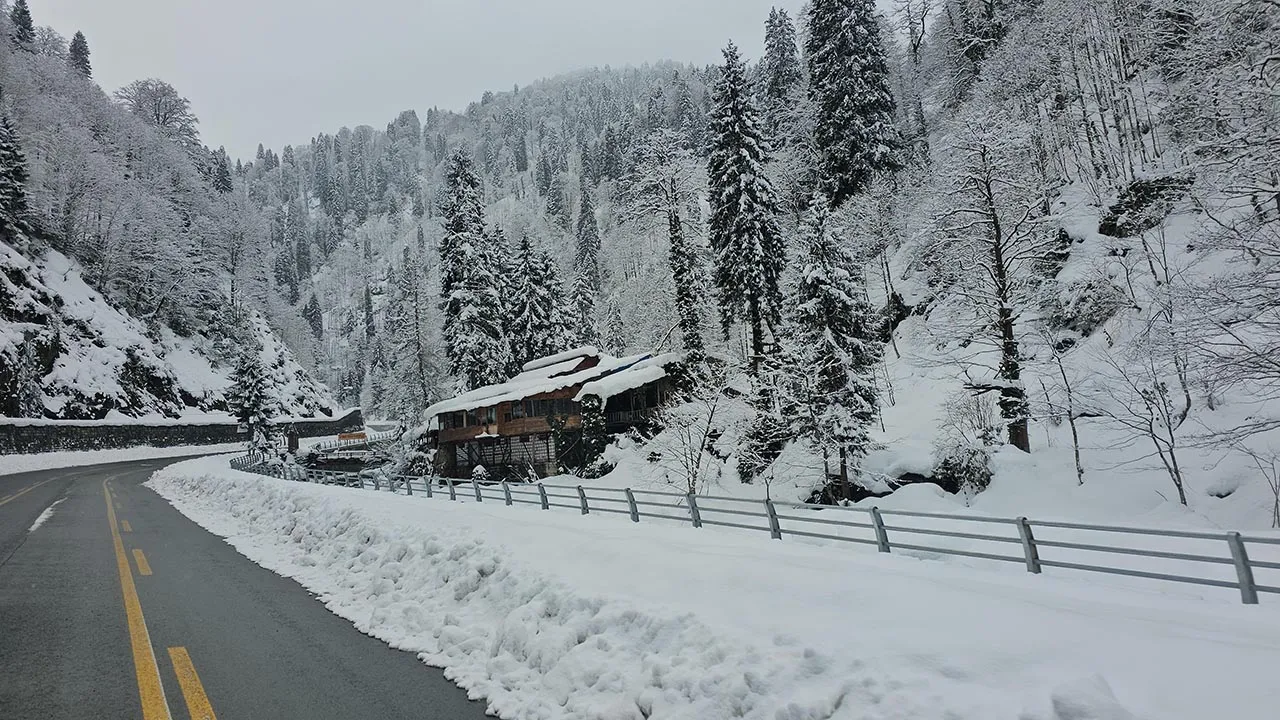 Rize'de 2 gündür aralıklarla devam eden yağmur, yüksek kesimlerde yerini kara bıraktı