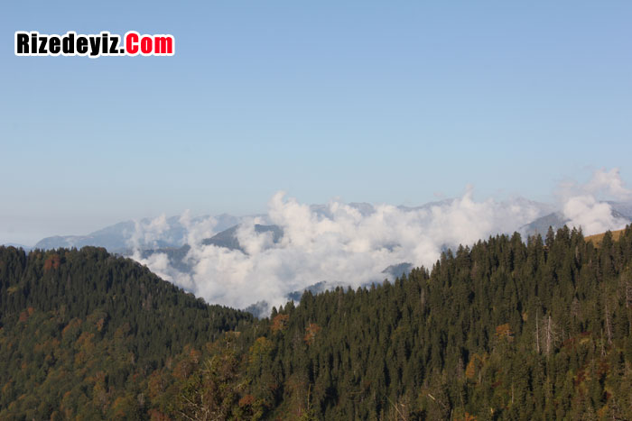 Rize`nin Çamlıhemşin ilçesi sınırlarında yer alan 2 bin 170 rakımlı Pokut Yaylası, eşsiz güzelliğiyle doğa tutkunlarının uğrak mekanları arasında yer alıyor.